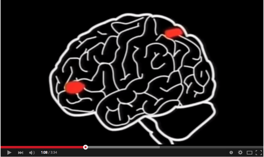 Capture d’écran 2015-05-29 à 09.43.26 neuroeducation neurosciences conflit cognitif