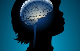 Illustration de l'article : Apprendre, un processus neuronal