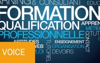 Illustration de l'article : Dossier spécial réforme de la formation professionnelle