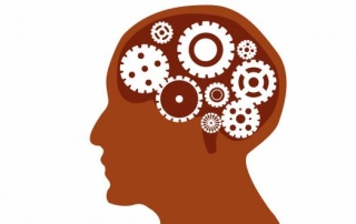 Illustration de l'article : Mystères du cerveau : Un souvenir, c'est un réseau unique de neurones