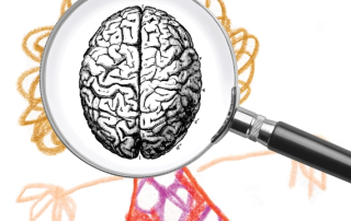 Illustration de l'article : Cerveau, apprentissage et enseignement