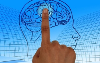 Illustration de l'article : Cerveau et pédagogie : Des principes réellement soutenus par la science | École branchée