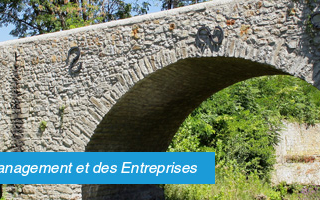 Illustration de l'article : La longue route des Responsable de Formation : nouvelles missions, nouvelles qualifications, comment les accompagner | Executiv