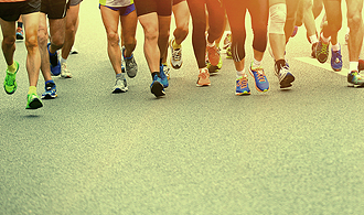 tous-les-dossiers-de-thot-annee-2015-thot-cursus