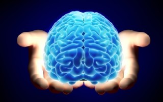 Illustration de l'article : [Dossier] Sciences cognitives et apprentissage - 2/5 - le blog de Solerni - plateforme de MOOCs