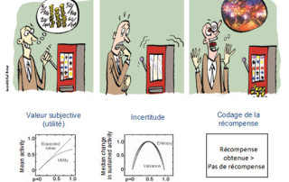 Illustration de l'article : Le fonctionnement du cerveau quand on joue à des machines à sous