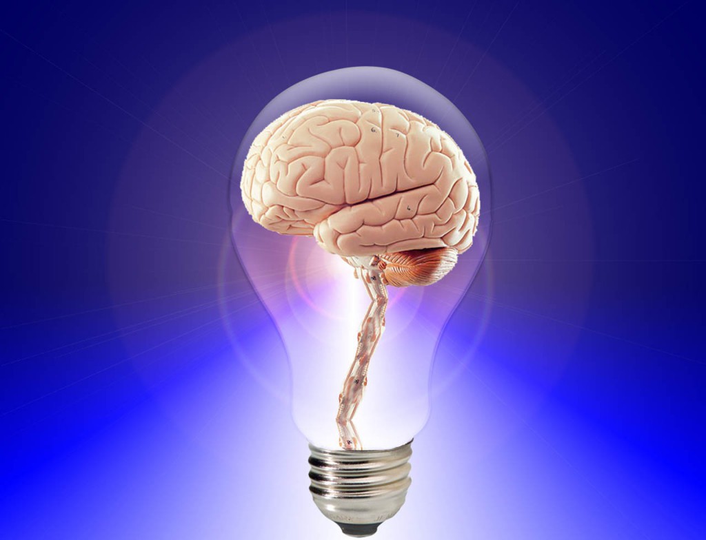 sciences-cognitives-et-apprentissage-5-5-le-blog-de-solerni-plateforme-de-moocs