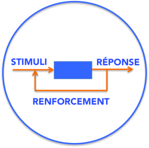 Schema_Stimuli-reponse