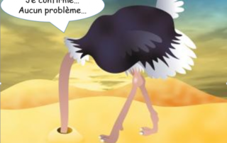 Illustration de l'article : CPF : Un léger déni de réalité : WILLEMS CONSULTANTS