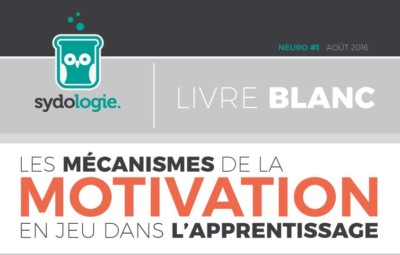 les-mecanismes-de-la-motivation-en-jeu-dans-lapprentissage-sydologie