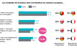 Illustration de l'article : Formation mixte et accompagnement individuel poursuivent leur progression | Le blog de la Formation professionnelle et continue