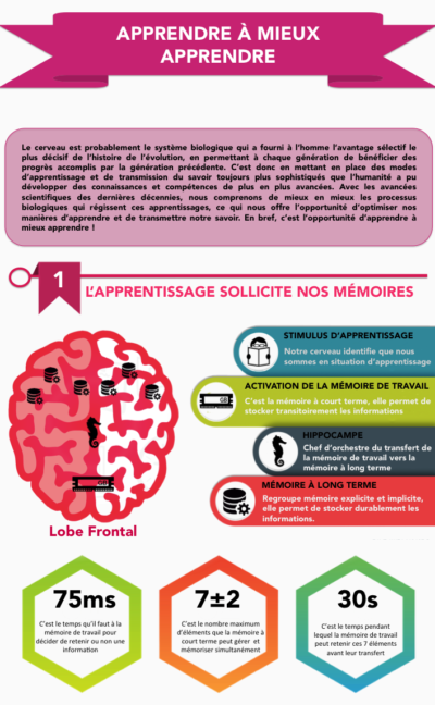 apprendre-a-apprendre-les-cles-pour-optimiser-lapprentissage-blog-toolearn