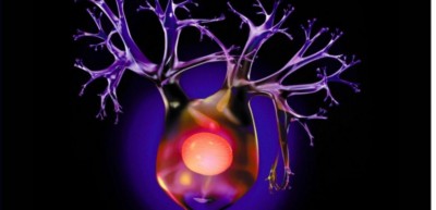 6-bonnes-resolutions-pour-prendre-soin-de-son-cerveau-blog-toolearn