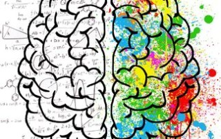 Illustration de l'article : Podcast : des nouvelles de notre cerveau