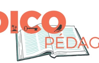 Illustration de l'article : Dico Pédago : Apprentissage Informel - Sydologie