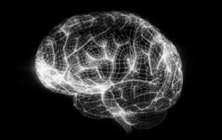 Illustration de l'article : Le « neurolearning » : l'enseignement de demain ? - educadis.fr