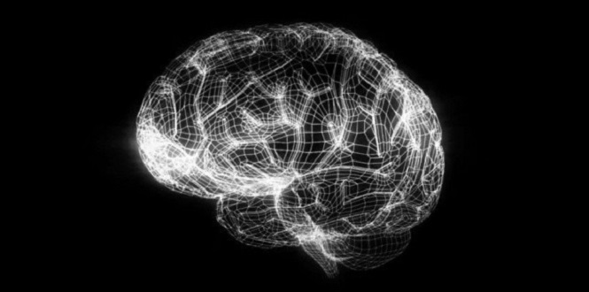 Le « neurolearning » : l’enseignement de demain ? – educadis.fr