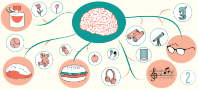 dossier-mind-map-et-pedagogie-2-les-atouts-sydologie