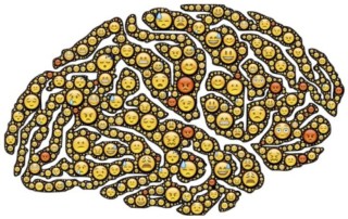 Illustration de l'article : Le mythe du cerveau gauche contre le cerveau droit - Elizabeth Waters - Blog Toolearn