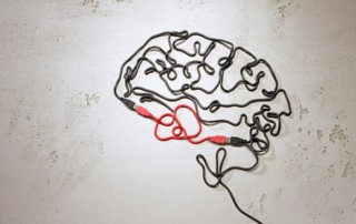 Illustration de l'article : EdTech : EvidenceB met les sciences cognitives à portée de clic - Educpros