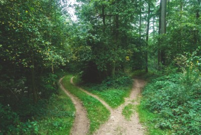 comment-le-cerveau-decide-blog-toolearn