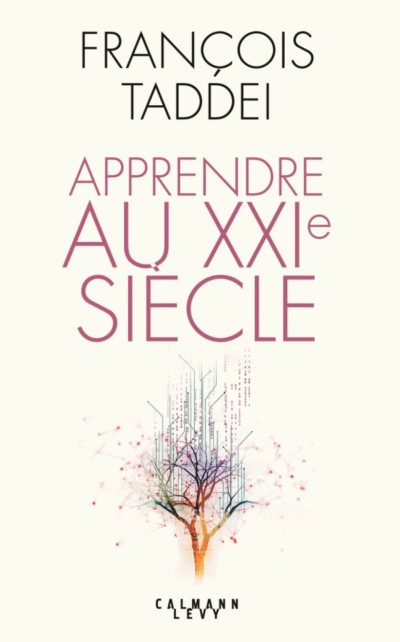 il-faut-plus-dargent-sur-les-manieres-dapprendre-usbek-et-rica
