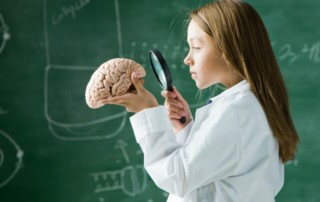 Illustration de l'article : La pédagogie vue par les neurosciences — France Inter