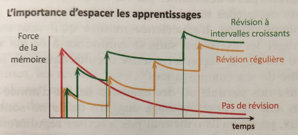 Livre à lire : Stanislas Dehaene : Apprendre ! — C-campus