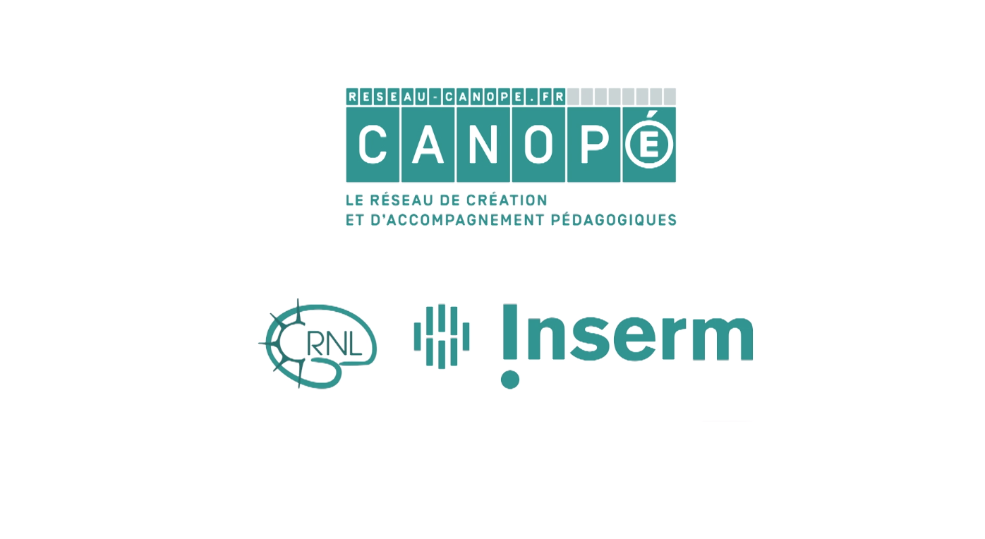 L’attention, ça s’apprend ! Le nouveau MOOC proposé par Réseau Canopé et l’Inserm — Ludomag