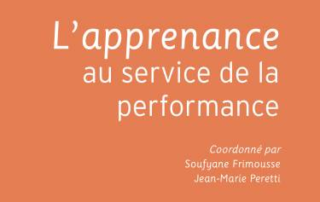 Illustration de l'article : L'apprenance au service de la performance, dir. J.-M. Peretti — Mars Lab