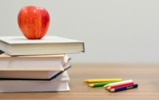 Illustration de l'article : Apprendre à apprendre : une compétence clé pour se performer — Penser et agir