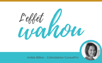 appels-doffres-formation-il-est-ou-leffet-wahou-cursuspro