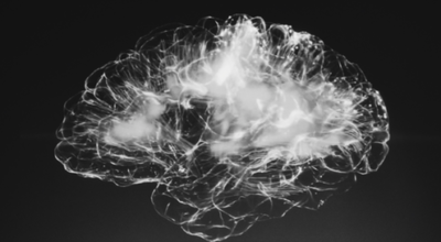 comment-notre-cerveau-guide-nos-habitudes-the-conversation