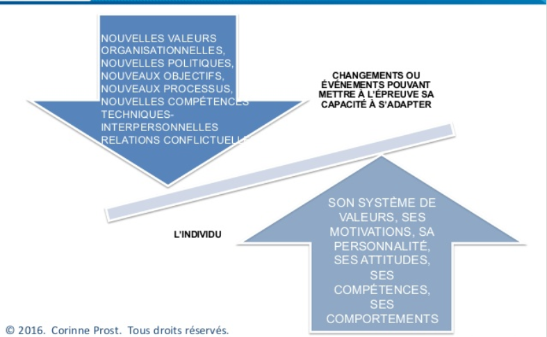 L’ADAPTABILITÉ PROFESSIONNELLE, SOFT SKILL N°1 DANS UN MONDE QUI CHANGE — Docendi