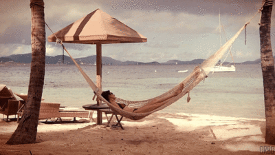 newsletter-196-revisions-de-vacances
