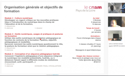 la-regulation-pedagogique-en-formation-a-distance-via-la-classe-virtuelle-le-cnam