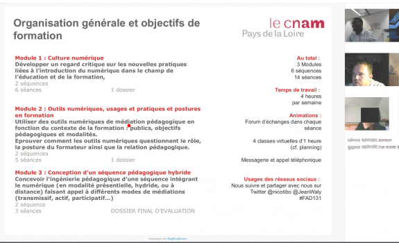 la-regulation-pedagogique-en-formation-a-distance-via-la-classe-virtuelle-le-cnam