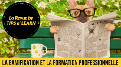 la-gamification-dans-la-formation-professionnelle-tipsn-learn