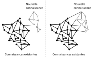 rotemeaningful jf large 9abff