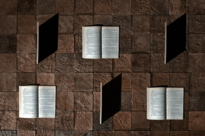 newsletter-243-lectures-estivales