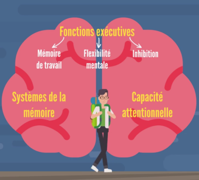 que-sont-les-sciences-cognitives-de-lapprentissage-sciences-cognitives