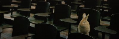 live-fini-les-annulations-de-vos-evenements-on-a-une-solution-pour-vous