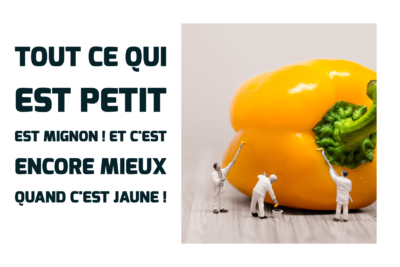 les-micro-apprentissages