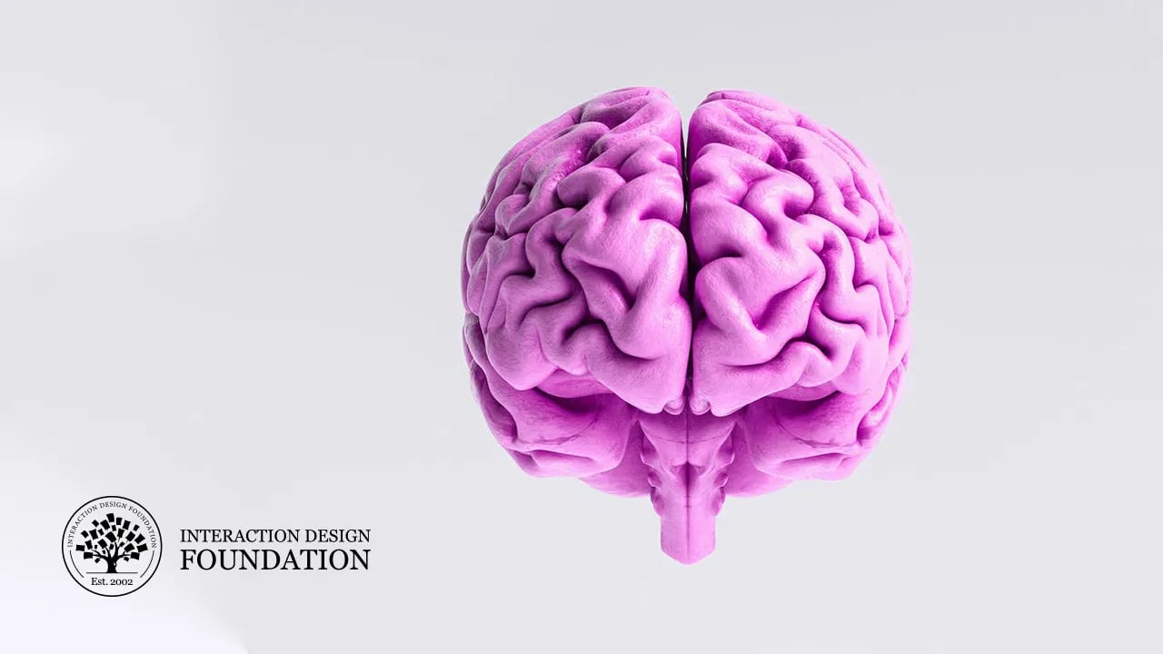 nos-trois-cerveaux-le-cerveau-emotionnel-lotin-corp