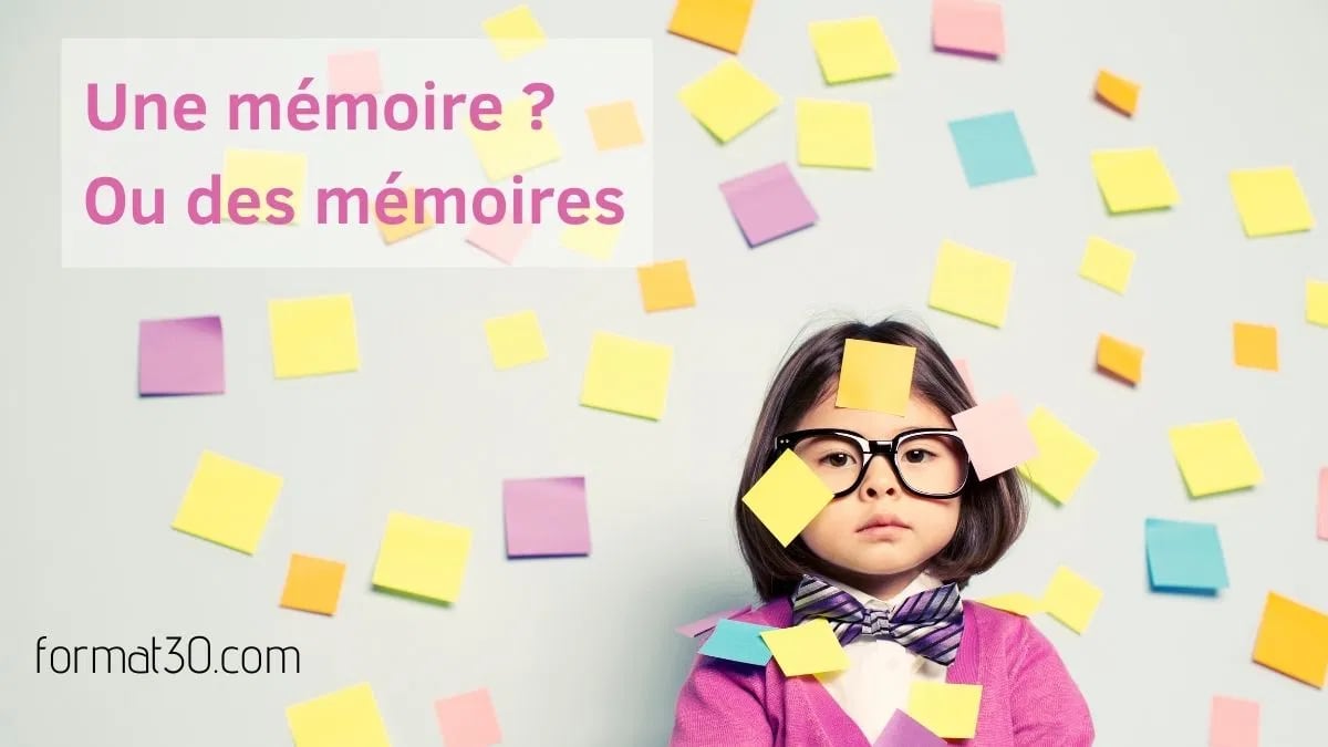 memoire-ou-memoires-les-differents-types-formation-3-0