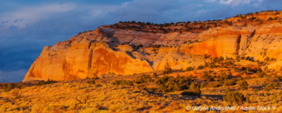 du-management-des-savoirs-a-lencouragement-a-lautodidaxie-apprenance-4-4-apprendre-autrement