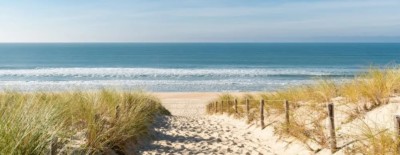 newsletter-du-3-septembre-2021-si-vous-avez-passe-la-semaine-a-compter-les-jours-jusquaux-prochaines-vacances