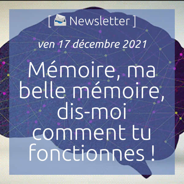 Newsletter du 17 décembre 2021 : Mémoire, ma belle mémoire, dis-moi comment tu fonctionnes !