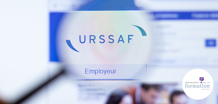 Réforme de la formation, dernier acte : le transfert de la collecte aux Urssaf — Management de la formation