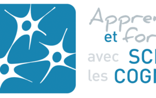 Illustration de l'article : COGNIFORUM 2021 : CONFÉRENCES ET DIAPORAMAS DES ATELIERS — Sciences-cognitives